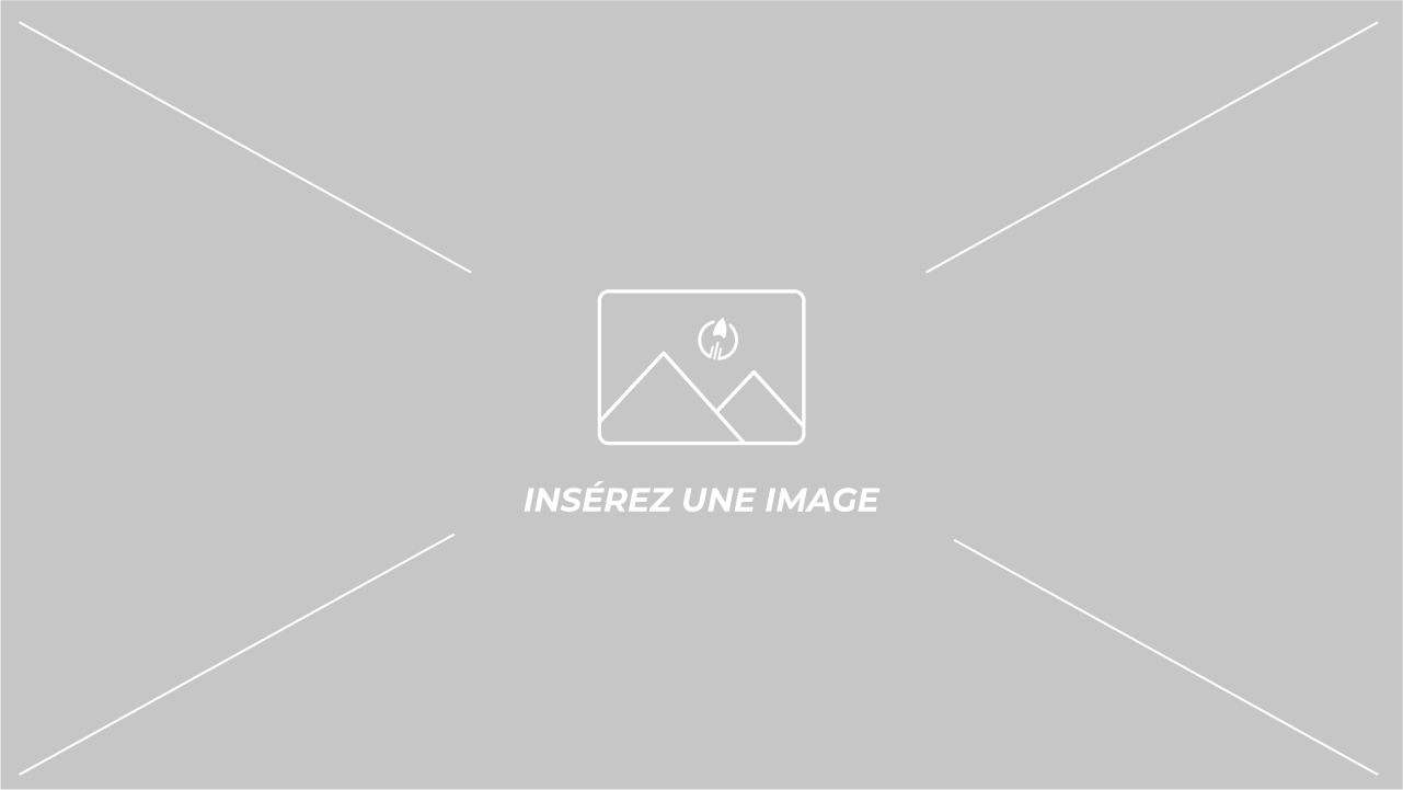 Master II Gestion des Ressources Humaines et Stratégie d'entreprise